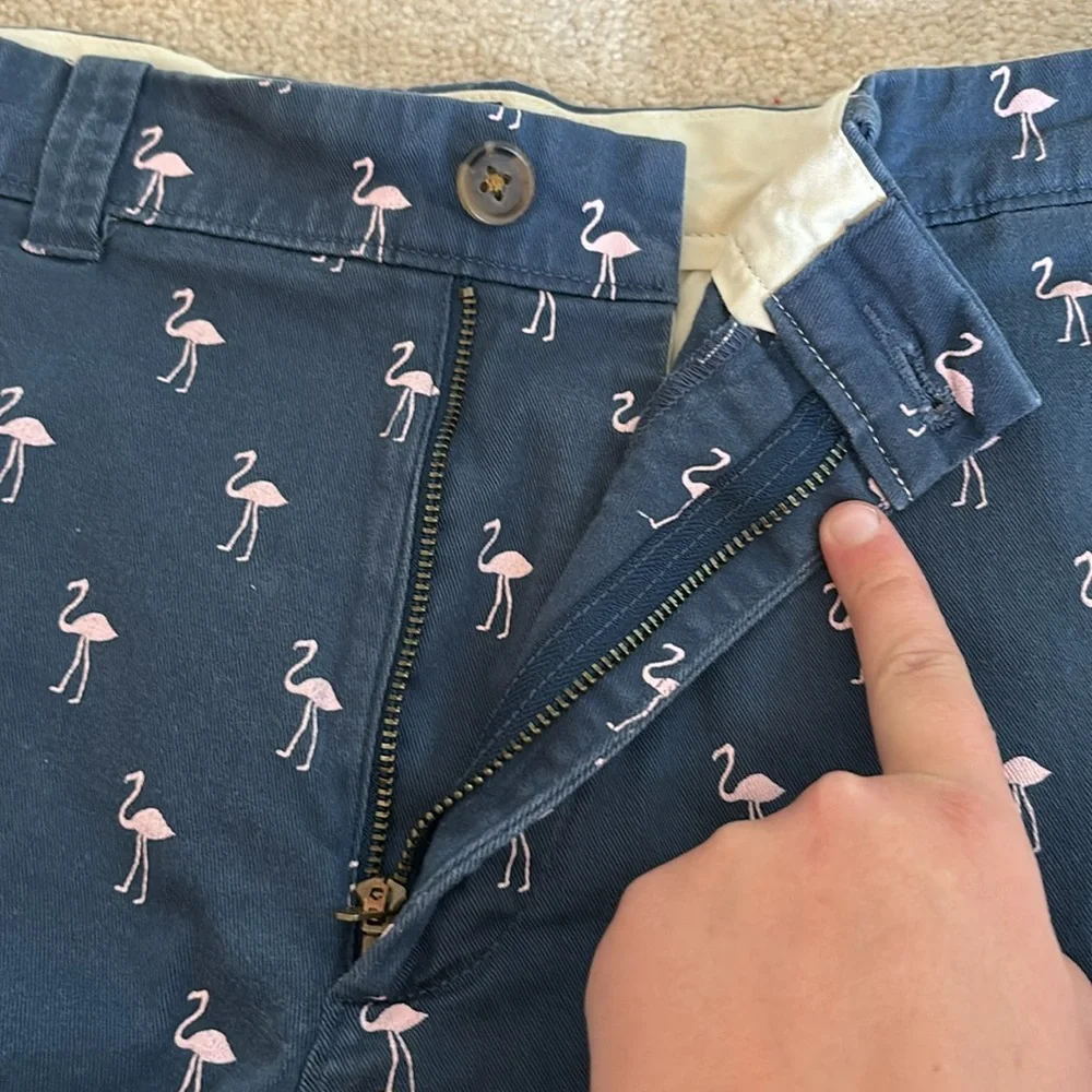 J. Crew Shorts